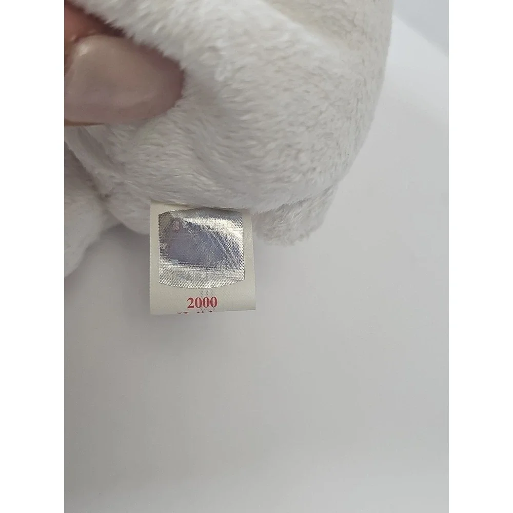 Ty from beanie